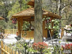 -黄山温泉国际旅游度假区