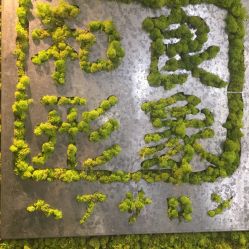 -和良形象