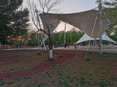 -蒲河岛湿地公园