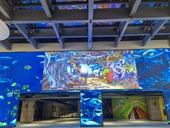 -海底捞火锅(奥森店)