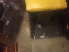 -吧嘚嘴炭烧鸽串吧(北海街店)
