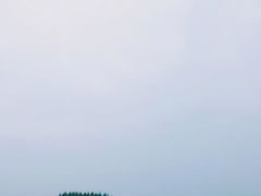 -杭州湾海上花田景区