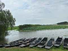 -洪湖生态旅游区