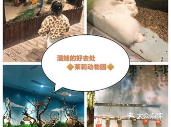魔都室内动物园～溜娃的好去处️