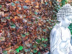 -国际非物质文化遗产博览园