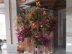 -浅深Cheersum(曹杨店)