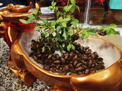 -映像徐州(滨湖店)