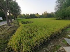 -北坞公园