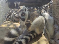 -秦皇岛野生动物园