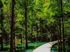 -千龙湖生态旅游度假区