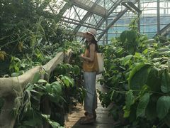 -南山植物园