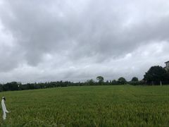 -瀛洲公园