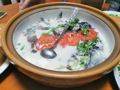 -全乐鱼馆·淳牌有机鱼直营店