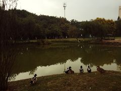-厦门悦华酒店