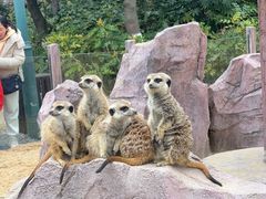 -茅山东方盐湖城景区