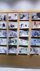 -南京医科大学友谊整形外科医院