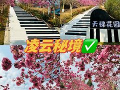 -盈香心动乐园
