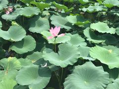 -星巴克(济南美莲广场店)