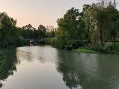 -九科绿洲