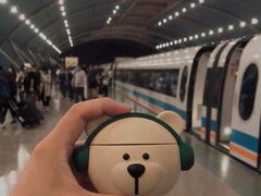 -龙阳路磁悬浮列车总站-停车场