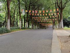 -合肥野生动物园