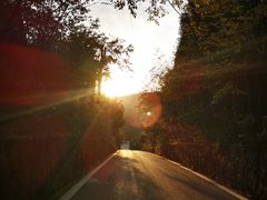 -武陵山森林公园