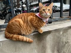 -百金通黄金回收首饰定制维修(珠江路总部)