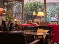 -咖法森林·咖啡  酒吧(天河店)