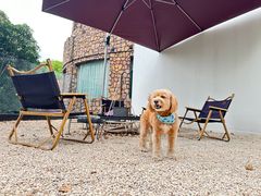 -J Create城市露营咖啡·简餐·宠物(上海动物园店)