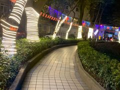 -重庆医科大学附属第一医院(本部)