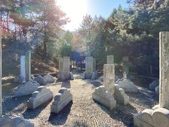 -北京鹫峰国家森林公园