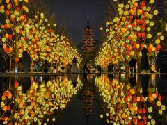 -龙华寺