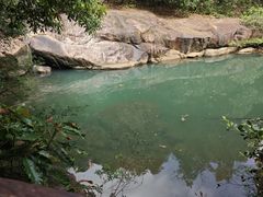 -广州白江湖森林公园