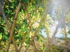 -贵阳市花溪国家城市湿地公园