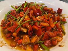-食家鸽园