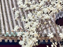 -罔极寺