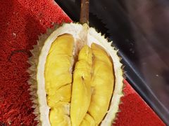-都念榴莲·城市榴莲