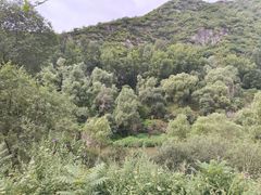 -百里山水画廊乌龙峡谷