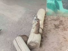 -秦皇岛野生动物园