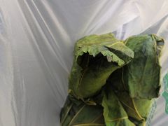 -叶婆婆豆浆馍馍