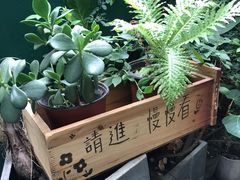 -知物癖(牛王庙店)