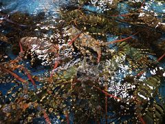 -大天然酒店(军民路店)