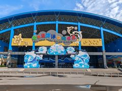 -泉城欧乐堡海洋极地世界