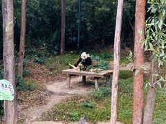 -广州长隆野生动物世界