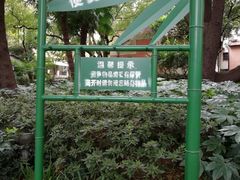 -华山儿童公园