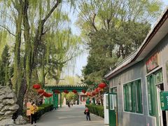-后海公园