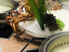 -东国海鲜火锅城(氹仔店)