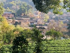 -杨家堂村