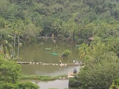 -呀诺达热带雨林