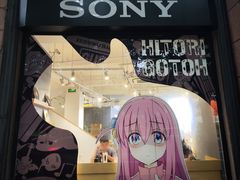 -Sony Store 索尼(上海淮海中路店)